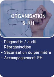 Organisation & RH, Diagnostic, Audit