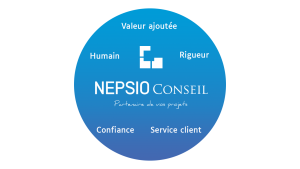 Nepsio Conseil - Cabinet d'audit et conseil en organisation
