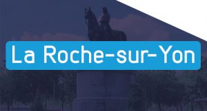 Nepsio Conseil - Cabinet d'audit et conseil en organisation La Roche-sur-Yon