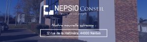 NEPSIO Conseil - Cabinet d'audit Nantes