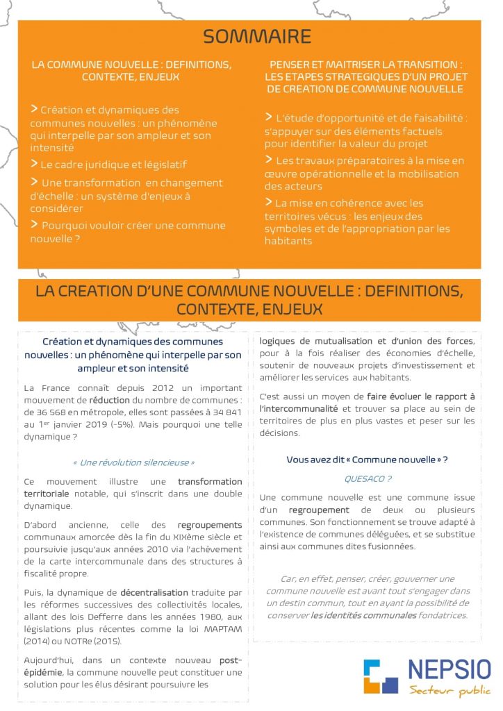 https://www.nepsio.fr/wp-content/uploads/2022/02/Carnets-Publics-n°1-Communes-Nouvelles-2-724x1024.jpg